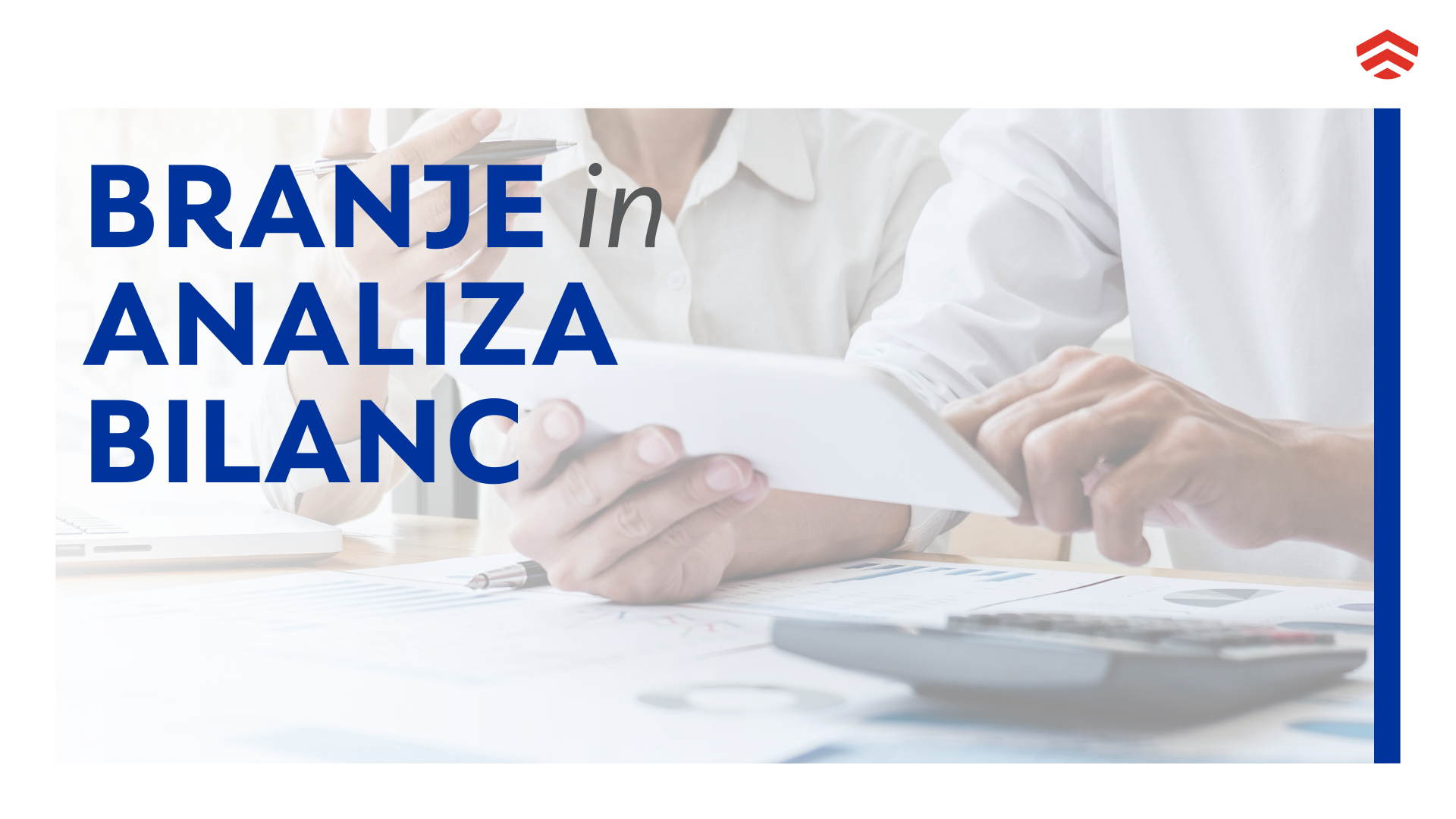 Branje in analiza bilanc