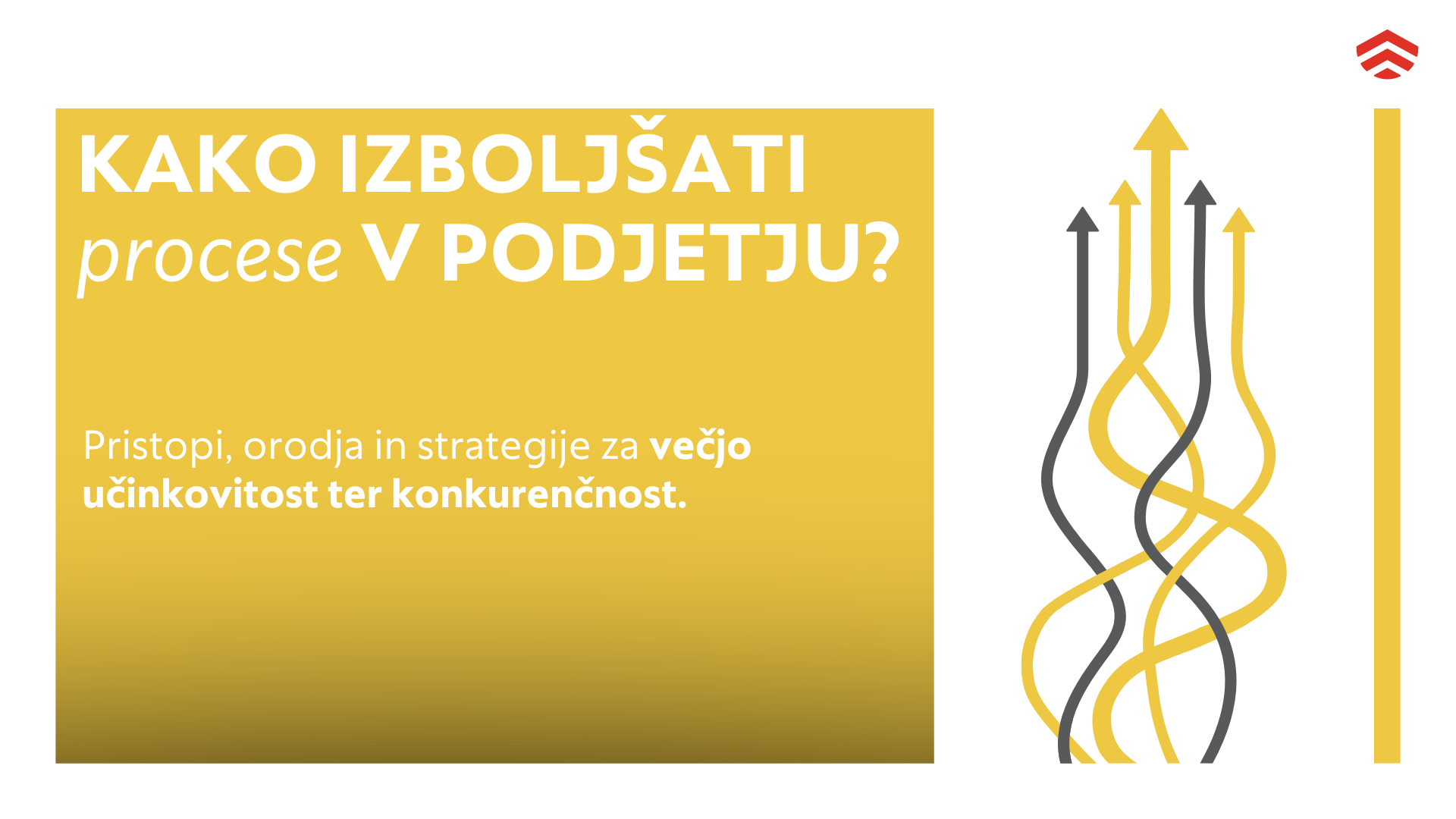 Procesi v podjetju