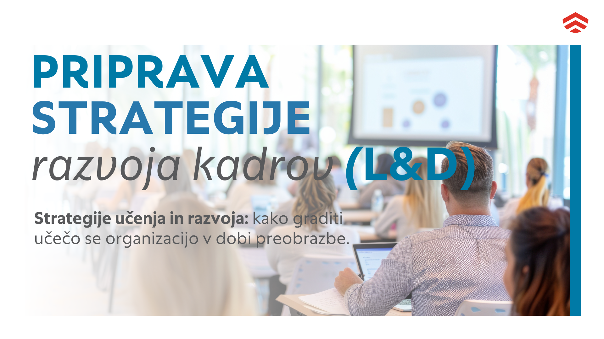 Priprava strategije razvoja kadrov (L&D)